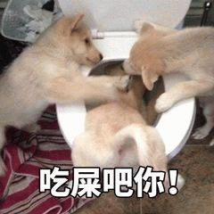 示例图片